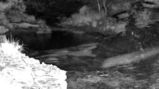 Still 3 from this detection