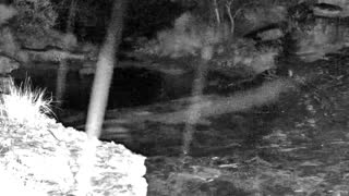 Still 1 from this detection