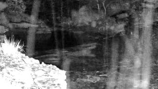Still 1 from this detection