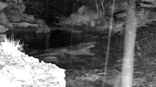 Still 2 from this detection