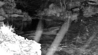 Still 2 from this detection