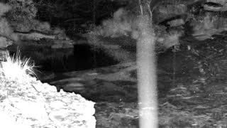 Still 3 from this detection