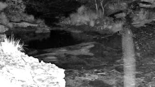 Still 1 from this detection