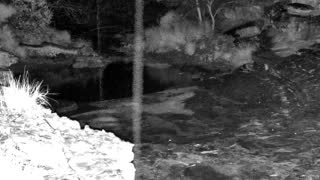 Still 2 from this detection