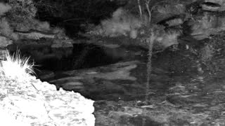 Still 1 from this detection
