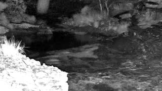 Still 3 from this detection