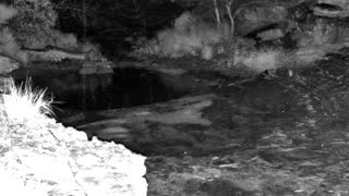 Still 1 from this detection