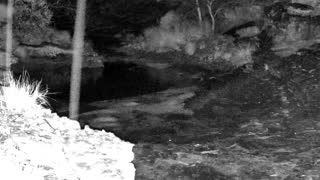 Still 3 from this detection