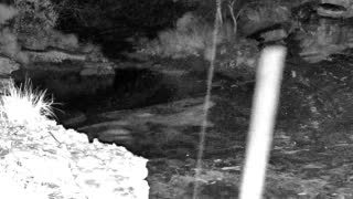 Still 2 from this detection