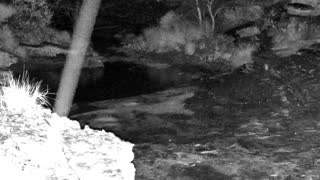 Still 1 from this detection