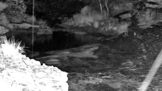 Still 2 from this detection