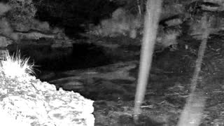 Still 3 from this detection