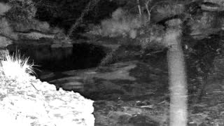 Still 3 from this detection