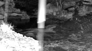 Still 2 from this detection