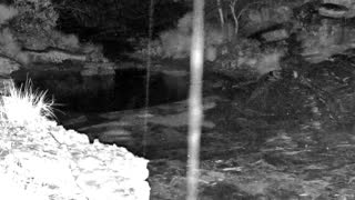 Still 1 from this detection