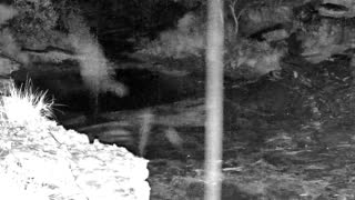 Still 3 from this detection