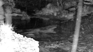 Still 2 from this detection