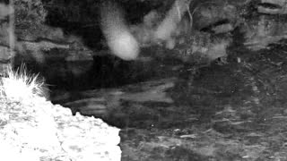 Still 1 from this detection
