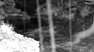 Still 2 from this detection