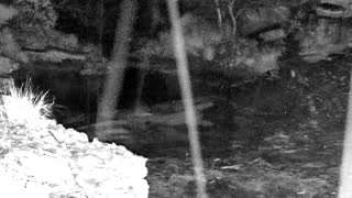 Still 2 from this detection