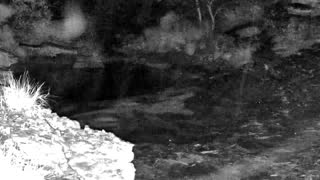 Still 3 from this detection