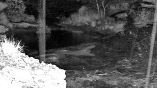 Still 1 from this detection