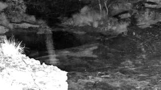 Still 3 from this detection