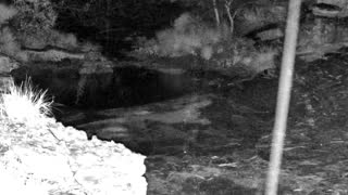 Still 2 from this detection