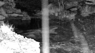 Still 3 from this detection