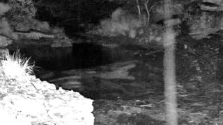 Still 2 from this detection