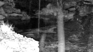 Still 1 from this detection