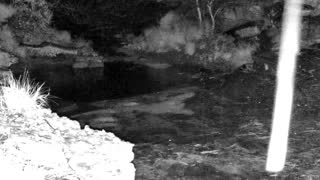 Still 1 from this detection