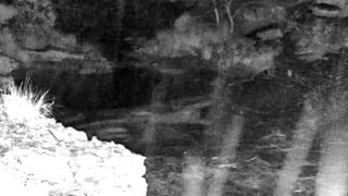 Still 1 from this detection