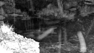 Still 2 from this detection