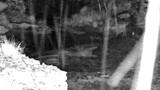 Still 3 from this detection