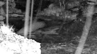 Still 1 from this detection