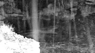 Still 3 from this detection
