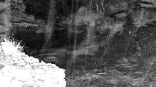 Still 2 from this detection