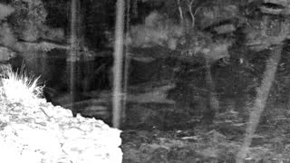 Still 3 from this detection