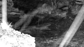 Still 2 from this detection
