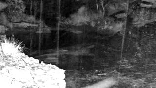 Still 3 from this detection