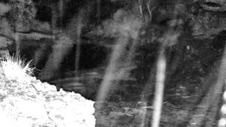 Still 3 from this detection