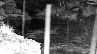 Still 1 from this detection