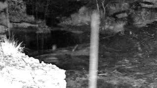 Still 2 from this detection