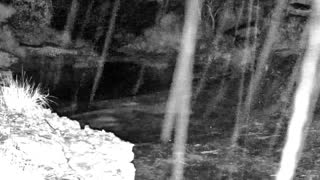 Still 2 from this detection