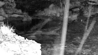 Still 3 from this detection