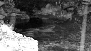 Still 1 from this detection