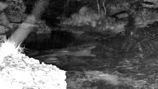 Still 2 from this detection