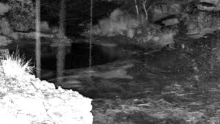 Still 1 from this detection