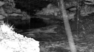Still 1 from this detection